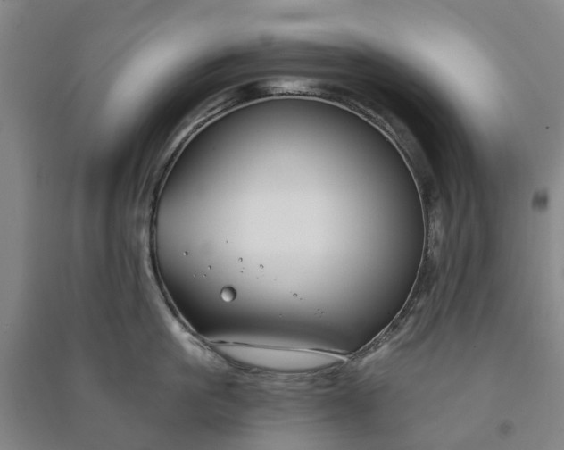 X0000090950861200708161754