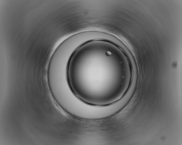 X0000090950862200708161754