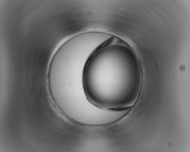 X0000090950864200708161754
