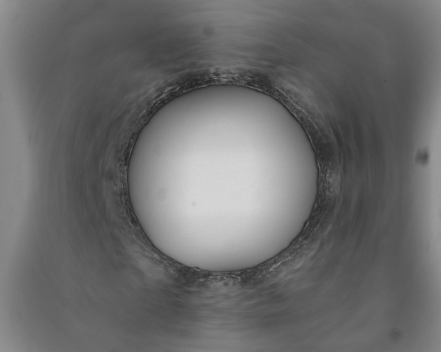 X0000090950865200708161754