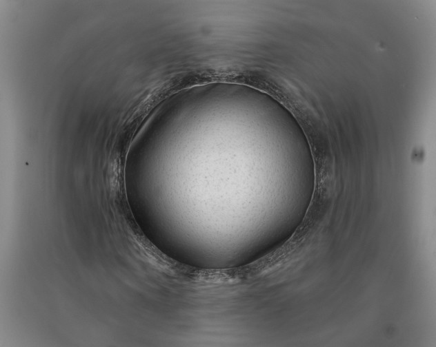 X0000090950866200708161754