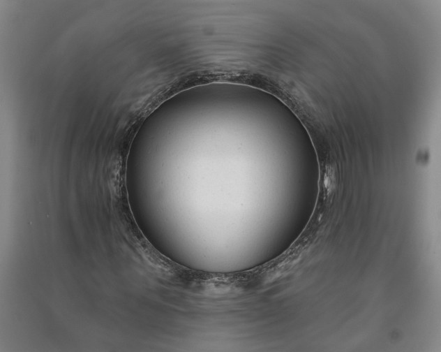 X0000090950867200708161754