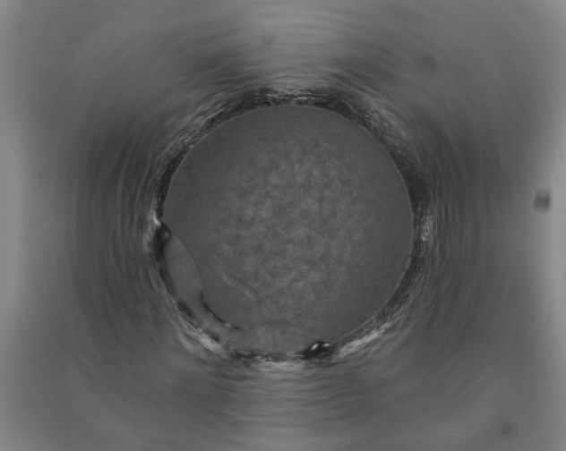 X0000090950868200708161754