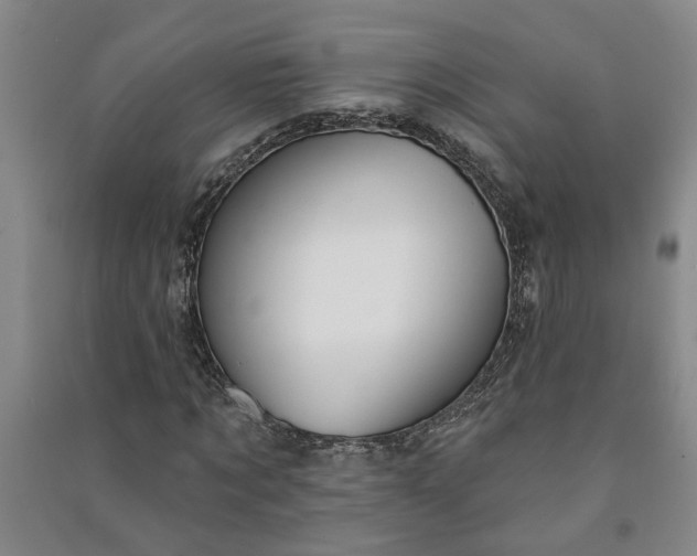 X0000090950869200708161754