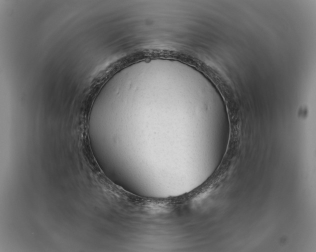 X0000090950870200708161754