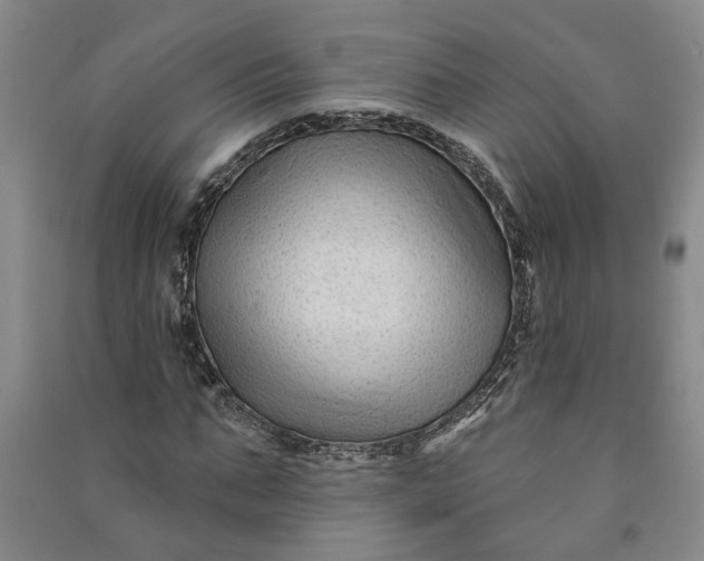 X0000090950871200708161754