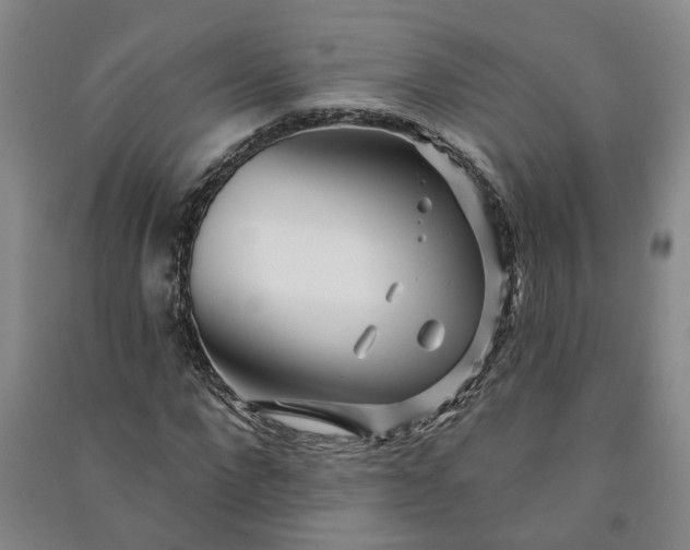X0000090950872200708161754