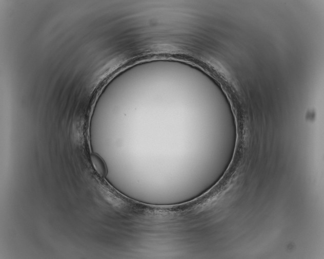 X0000090950873200708161754