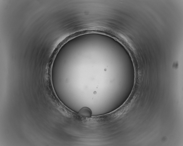 X0000090950875200708161754