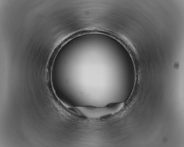 X0000090950876200708161754