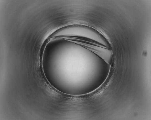 X0000090950877200708161754