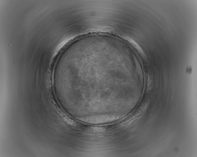 X0000090950878200708161754
