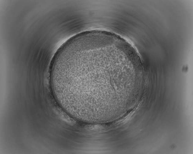 X0000090950879200708161754
