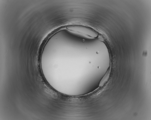 X0000090950880200708161754