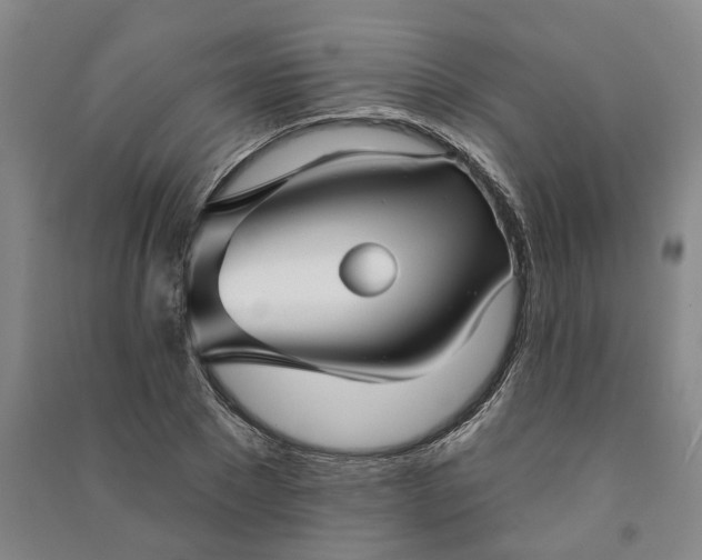 X0000090950881200708161754