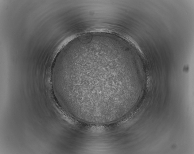 X0000090950882200708161754