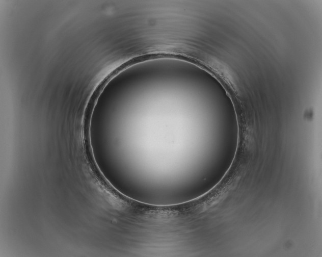 X0000090950884200708161754