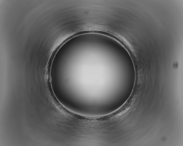 X0000090950885200708161754