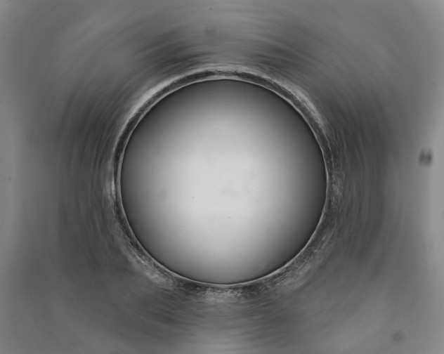 X0000090950887200708161754