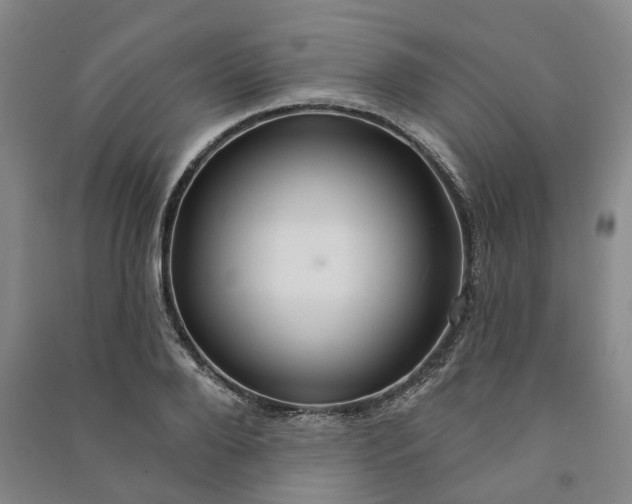 X0000090950888200708161754