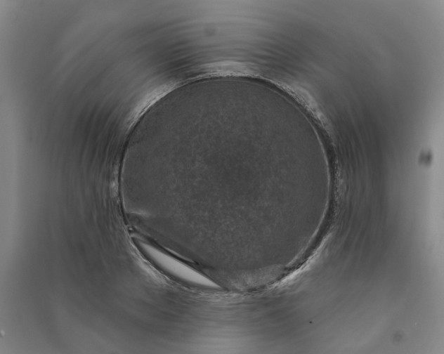 X0000090950889200708161754