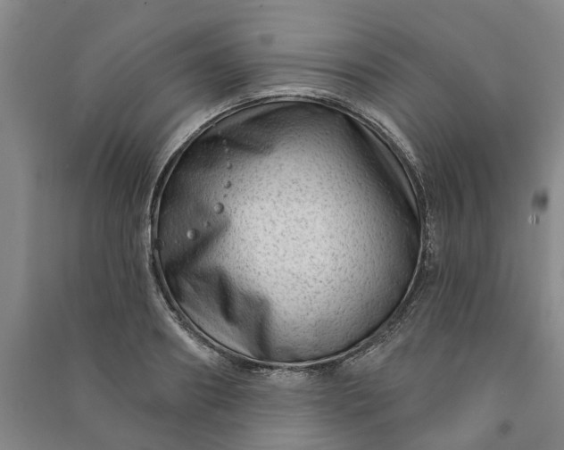 X0000090950890200708161754