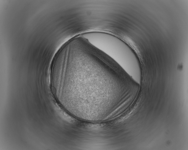 X0000090950892200708161753