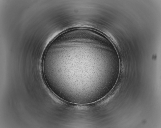 X0000090950893200708161753