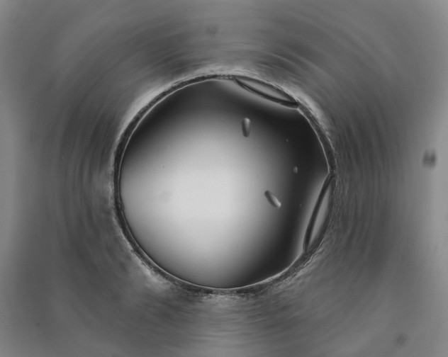 X0000090950894200708161753