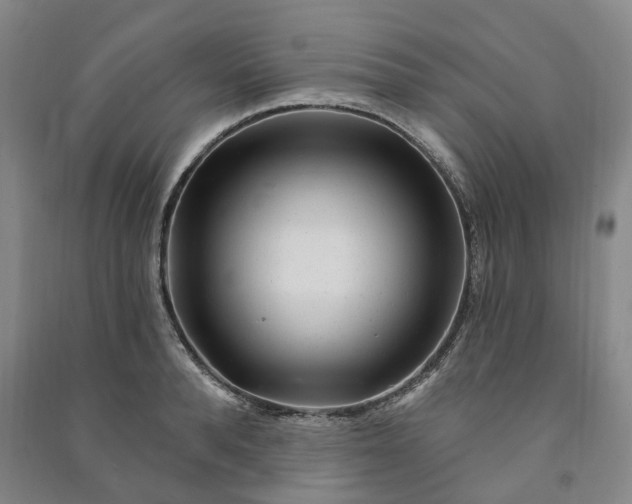 X0000090950896200708161753
