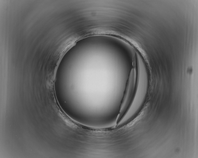 X0000090950897200708161753