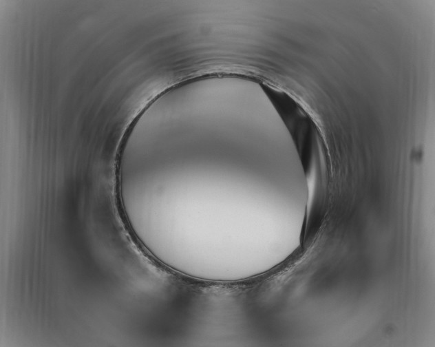 X0000090950898200708161753