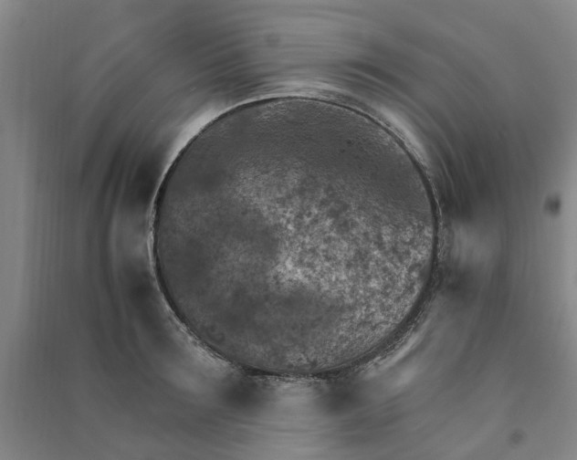 X0000090950899200708161753