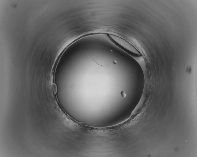 X0000090950900200708161753