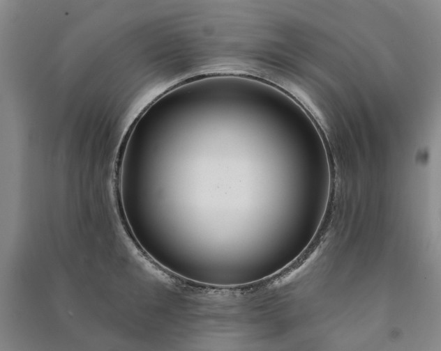 X0000090950901200708161753