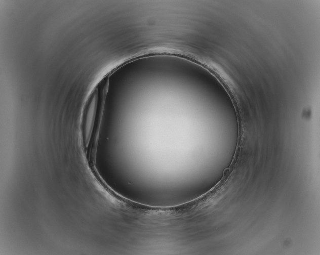 X0000090950902200708161753