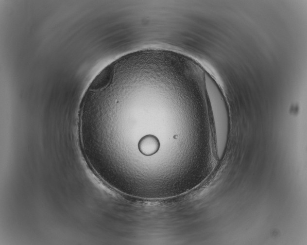 X0000090950903200708161753