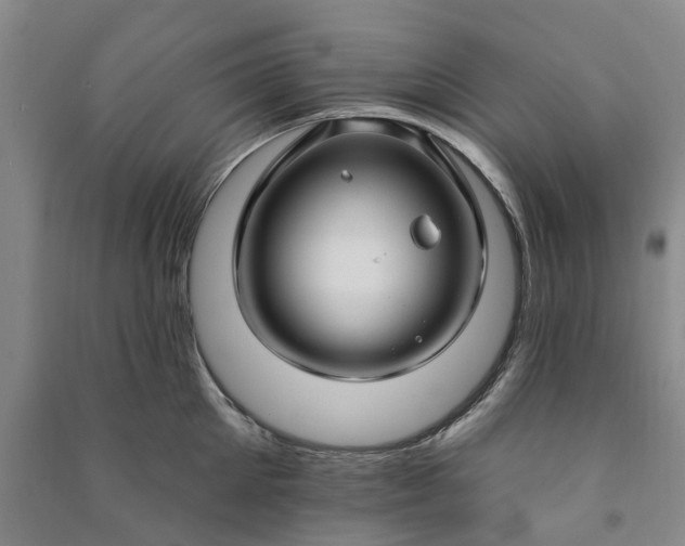 X0000090950905200708161753