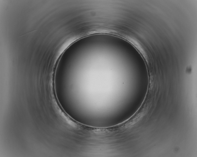 X0000090950906200708161753