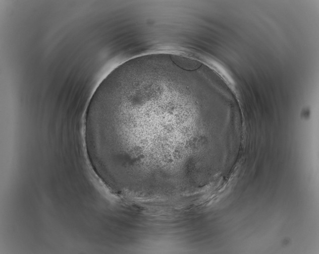 X0000090950907200708161753