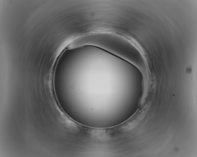 X0000090950909200708161753
