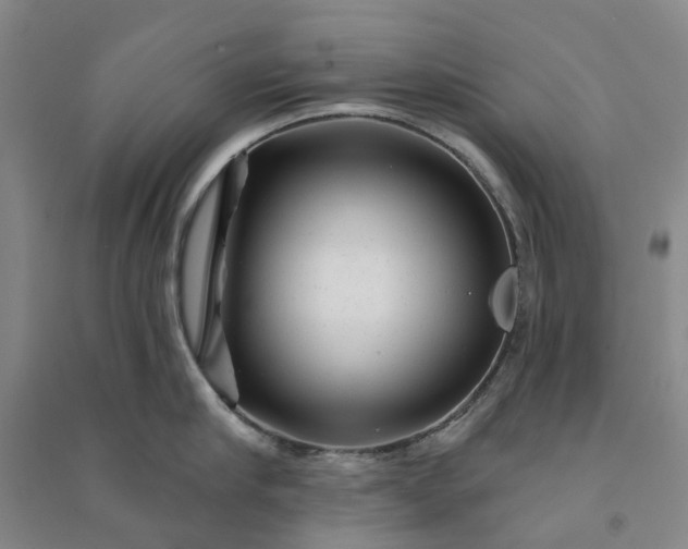 X0000090950910200708161753