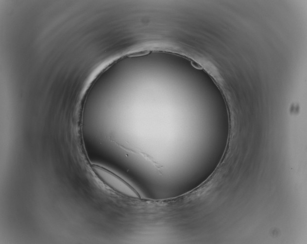 X0000090950912200708161753
