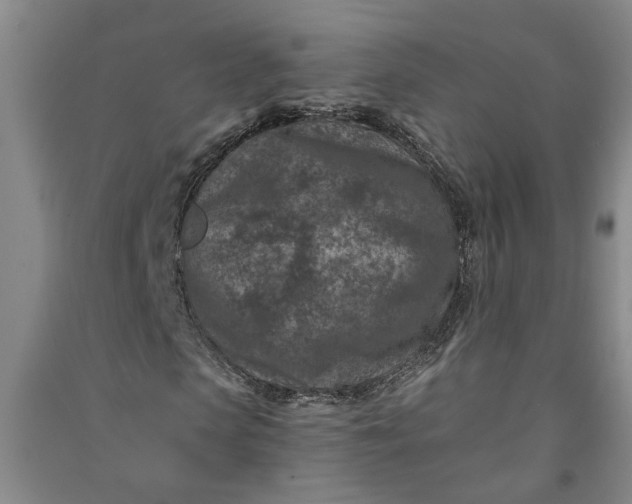 X0000090950913200708161753