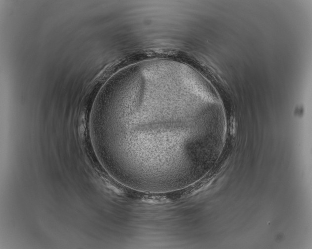 X0000090950915200708161753