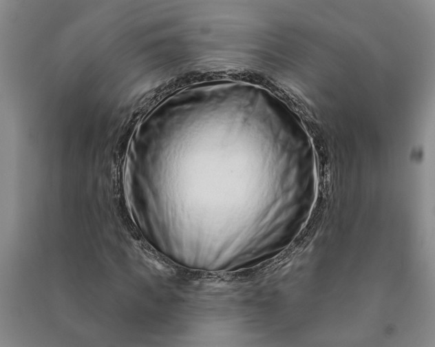 X0000090950917200708161753