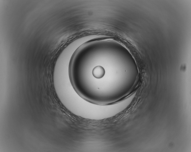 X0000090950918200708161753