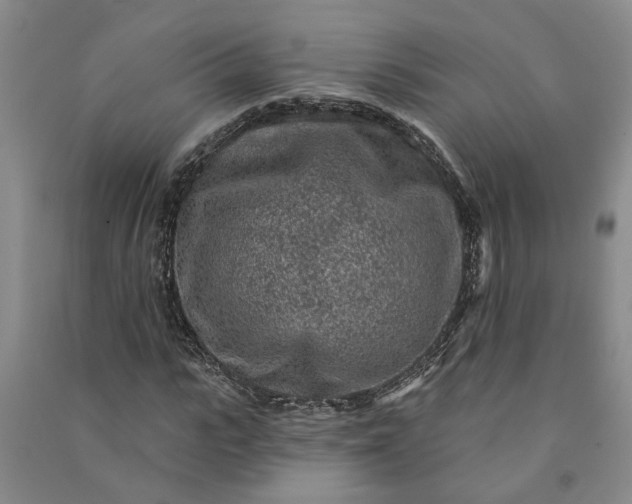 X0000090950919200708161753
