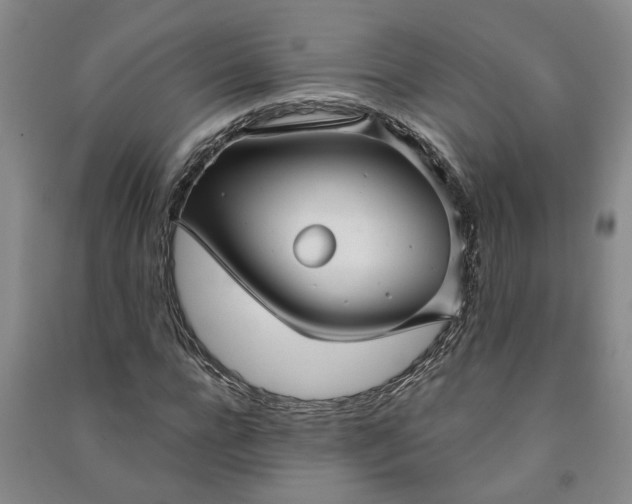 X0000090950920200708161753