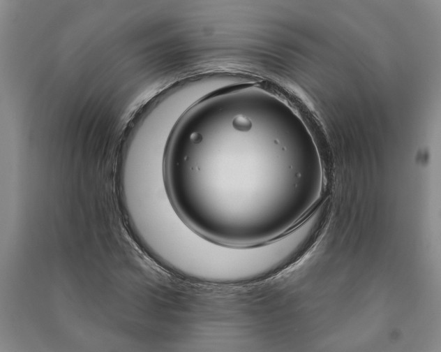 X0000090950922200708161753